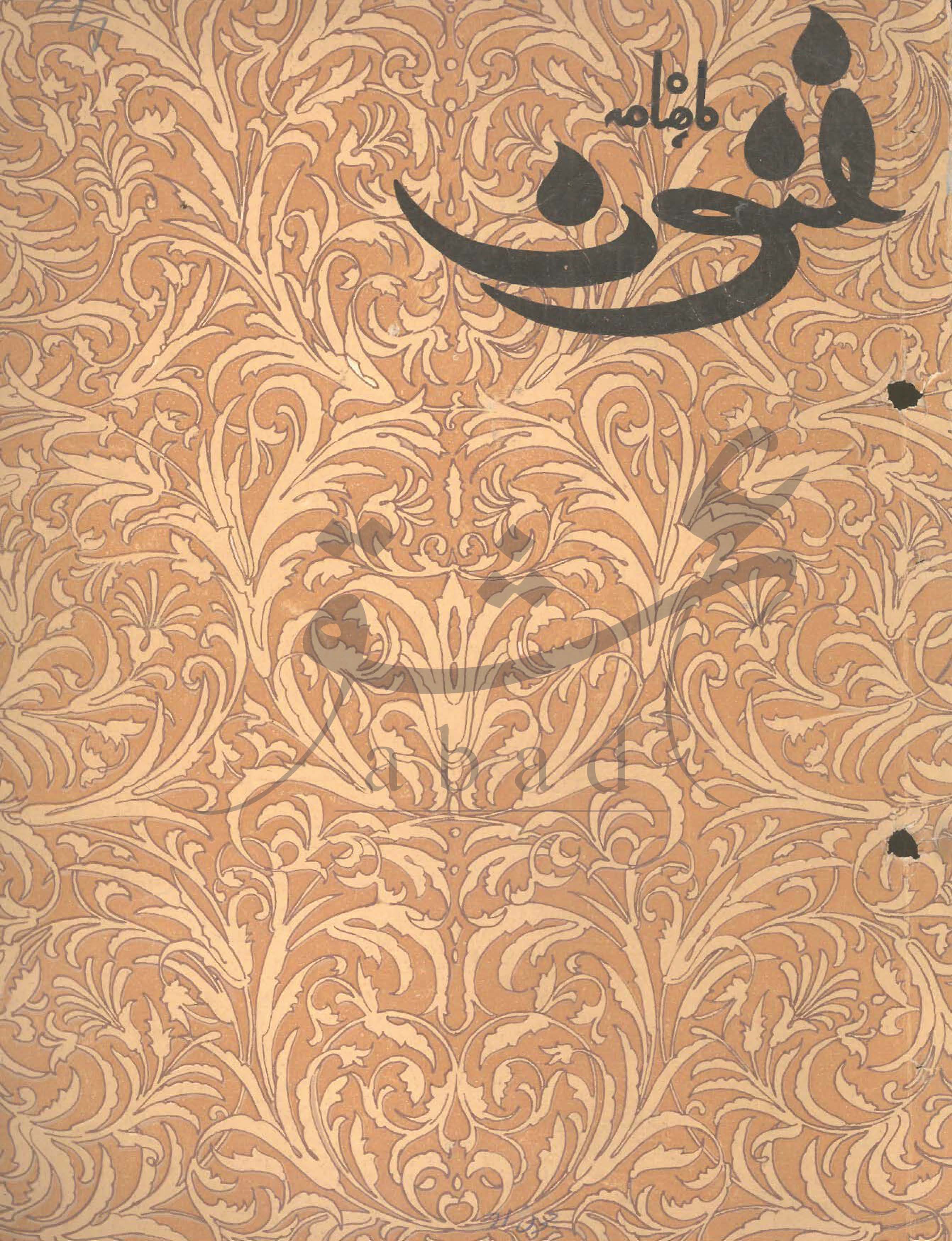 فنون شمارہ جون 1971