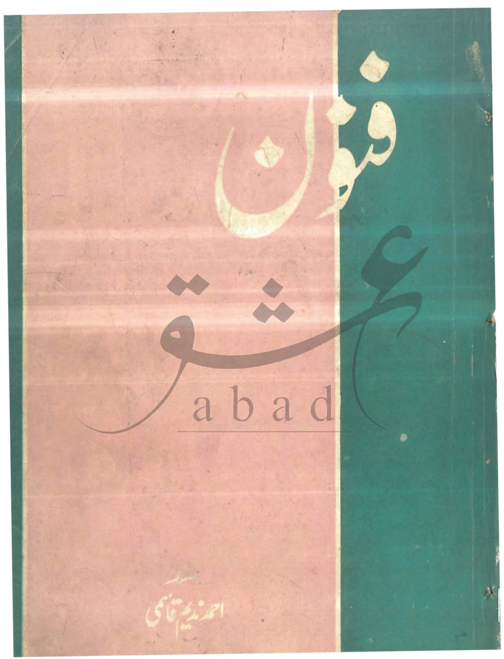 فنون شمارہ جنوری 1980