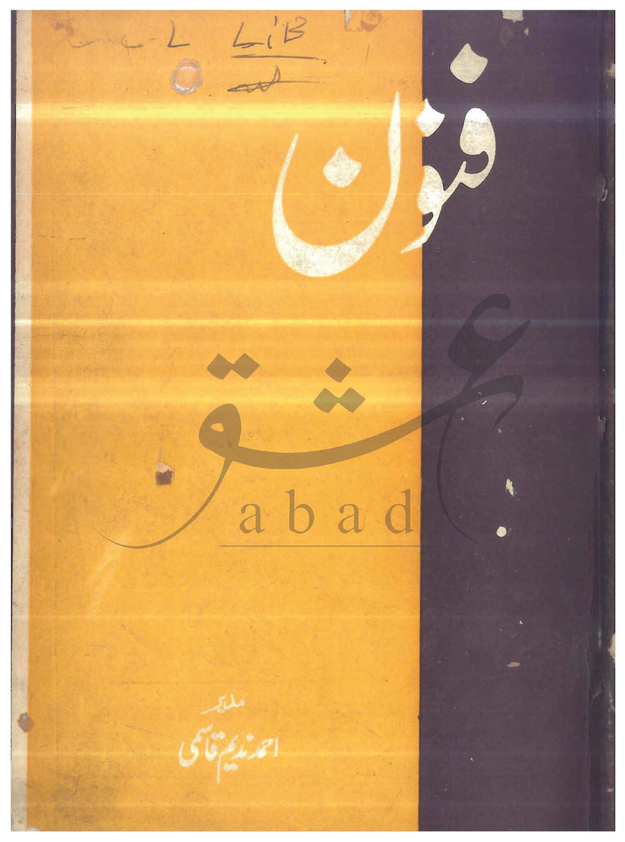 فنون شمارہ فروری 1982