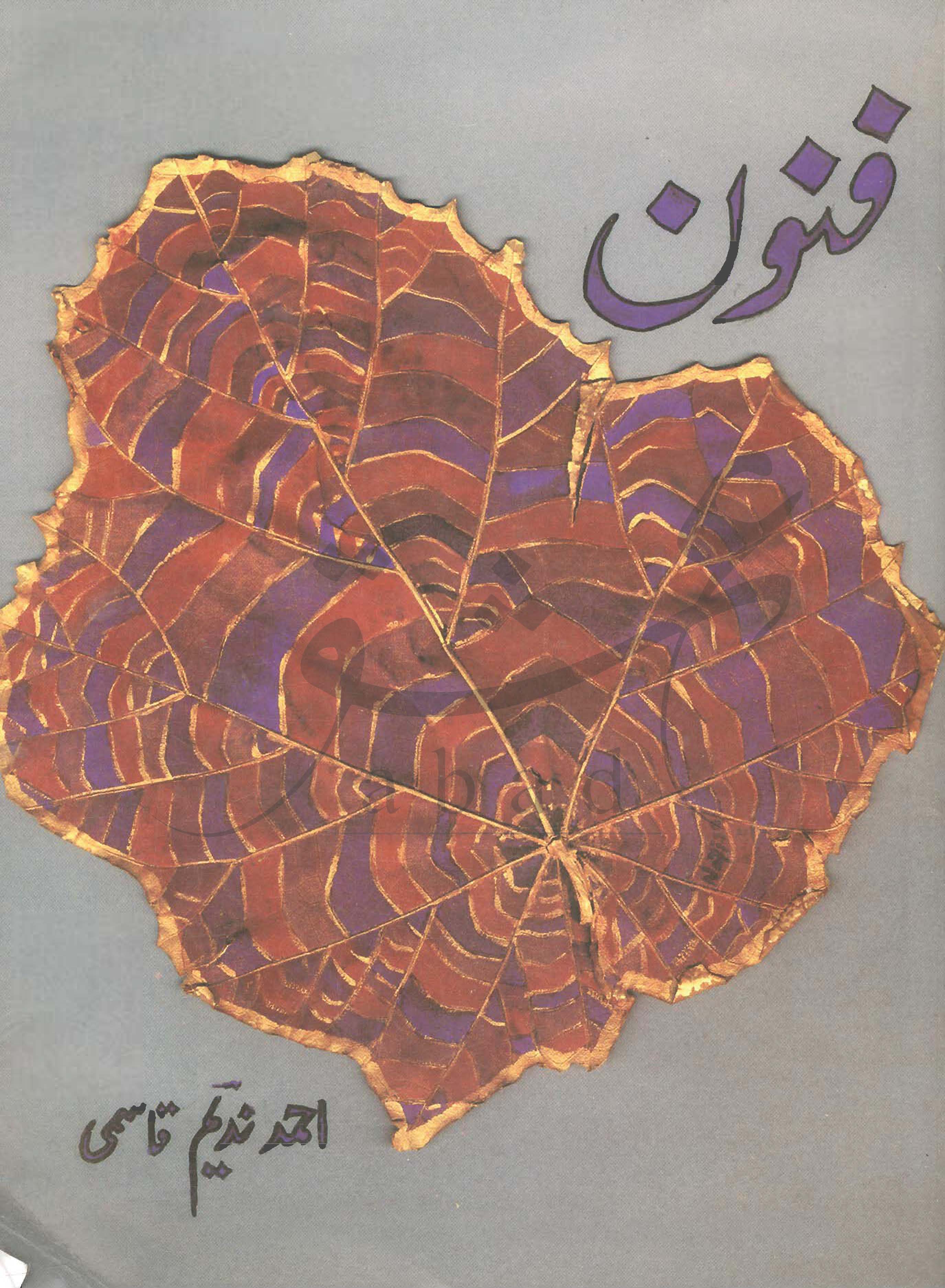 فنون شمارہ جنوری 2005